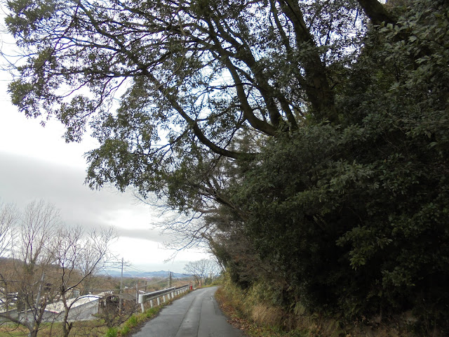 岡成の道路を尾高方面へ向かいます