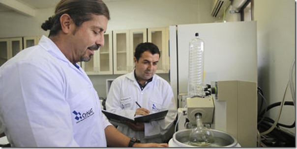 Científicos usan hoja de menta para diseñar nanopartícula