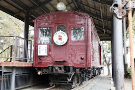 Preserved Train