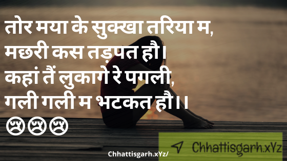 तोर मया के सुक्खा तरिया म, मछरी कस तड़पत हौ।🐟🐟कहां तैं लुकागे रे पगली, गली गली म भटकत हौ।।😢😢😢