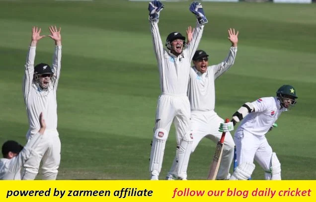 Powered by zarmeen affiliate