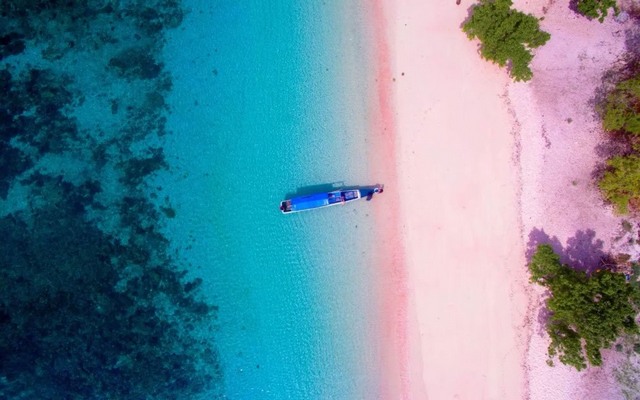 pink beach in komodo island, pink beach komodo island, komodo island pink beach, komodo beaches, komodo pink beach, pink sand beach indonesia, bali pink sand beach, komodo island indonesia pink beach, pink beach komodo indonesia, komodo beach indonesia,