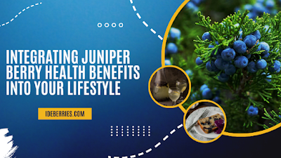 Integrating Juniper Berry Health Benefits into Your Lifestyle