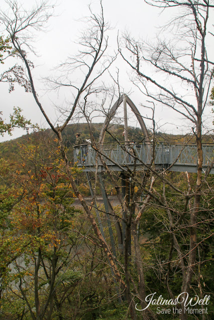 Baumwipfelweg Edersee