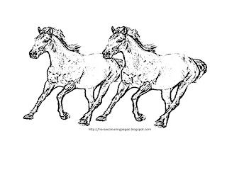 Horse Coloring Sheets on Horse Coloring Pages Picture Above Is F Ree Horse Coloring Pages For