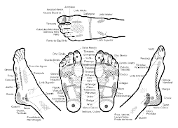 reflexologia