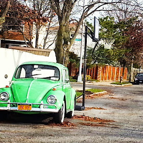 A green Volkswagen Bug parked on a side street in Staten Island