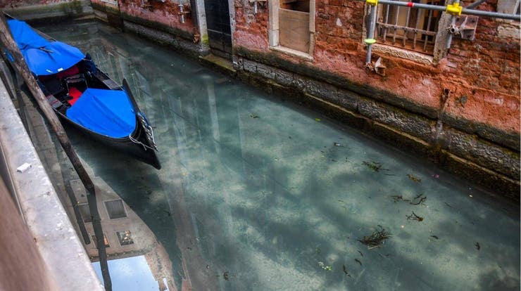 Coronavirus: así están los canales de Venecia, con agua cristalina y peces