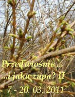 Przedwiośnie...ijakazupa?IIzaproszenie