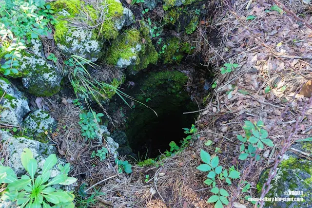 鳴沢の溶岩樹型