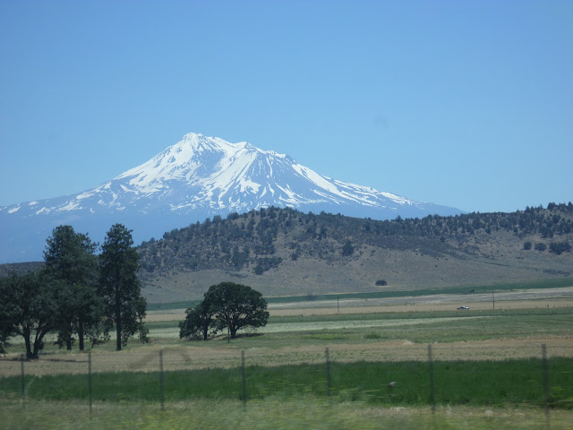 Mount Shasta in the distance