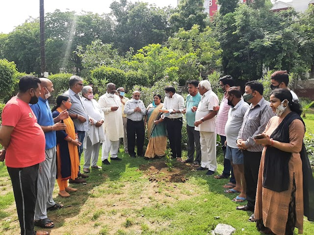  रोज पार्क में लगाये वर्षगांठ पर बेलपत्र का पौधा