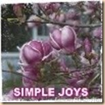 simple joys
