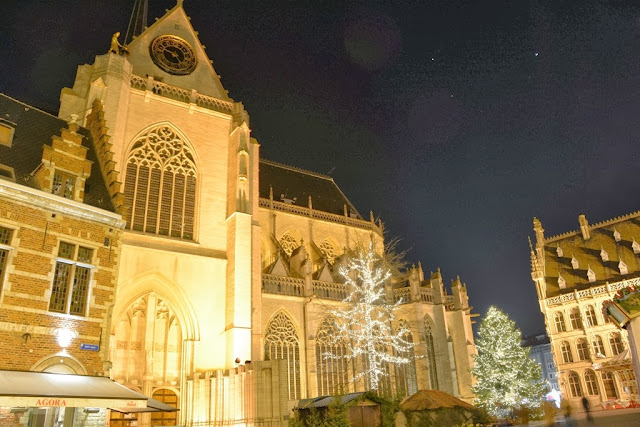 Leuven by night St. Peter Church