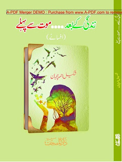 Zindagi Kay Baad Muot Say Pehlay Novel By Shakeel Ahmed Chohan Read Online
