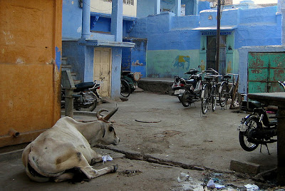 Blue City of Jodhpur, India