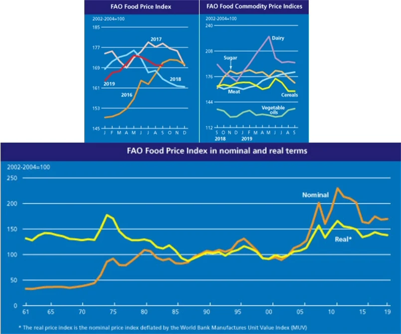 2019년 9월 세계식량가격지수 전월 동일, 전년 대비 3.3% 상승