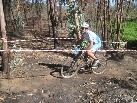 vitor2