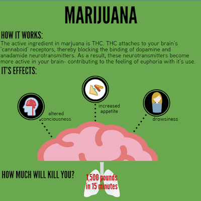 Your Brain on Drugs Marijuana (weed)