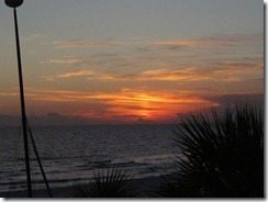 IMG_0480
