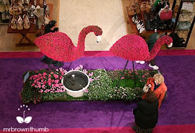 Macy's on State Street Flower Show: Dream in Color