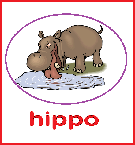 Animal Flashcards - Hippo