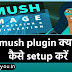 Smush plugin क्या है, इसे कैसे configur करें ?