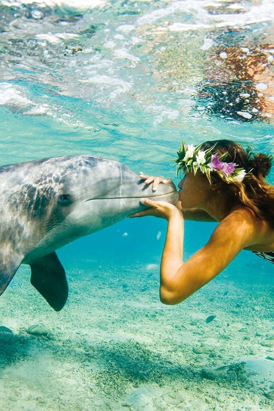 Kissing a dolphin