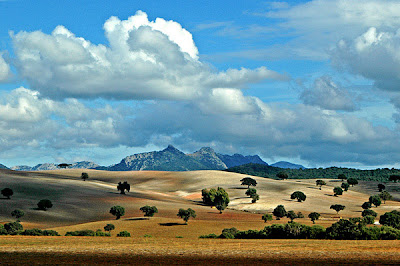 Paisajes Naturales Landscapes