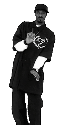SNOOP DOGG WHAT'S MY NAME FOOL