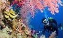 scuba diving meaning-swimming underwater using Scuba