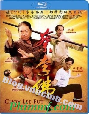 Choy Lee Fut - Lò Võ Trung Hoa (2011) BluRay m720p x264 AC3
