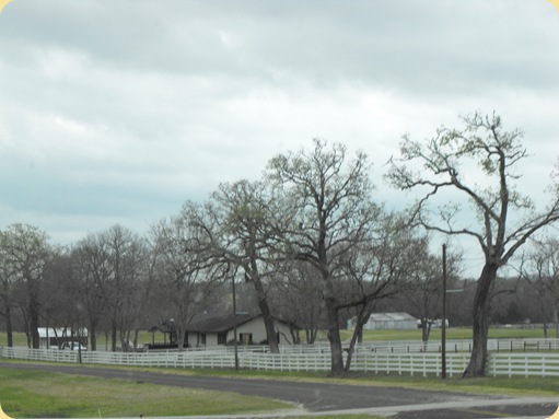 Bastrop to Cut N Shoot 086