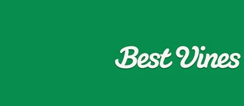 Los mejores vines de 2013