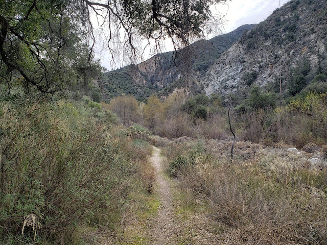 Lower Grizzly Flat Trail