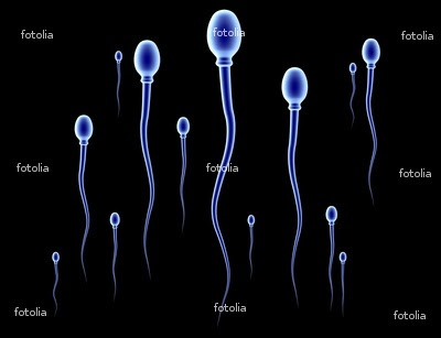 Cara Memperbanyak Sperma atau Air Mani