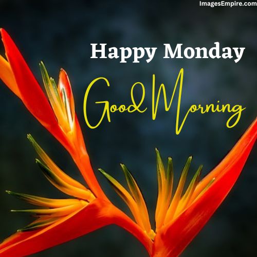 good morning Monday Images