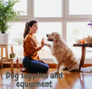 Essential Supplies and Equipment for First-Time Dog Owners