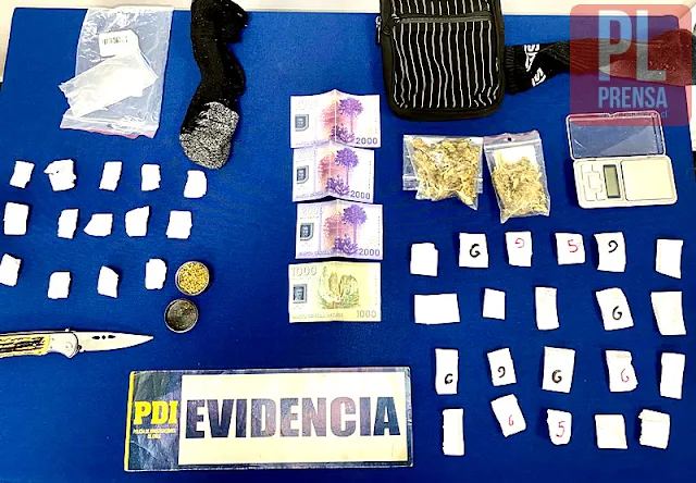 PDI detiene a dos menores por diversos delitos en la ribera del Río Valdivia