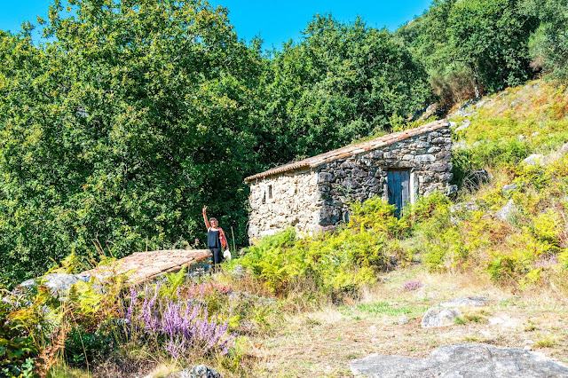 Imagen de los molinos de Maceira