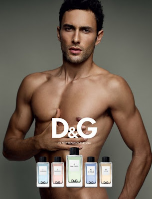 D&G Anthology