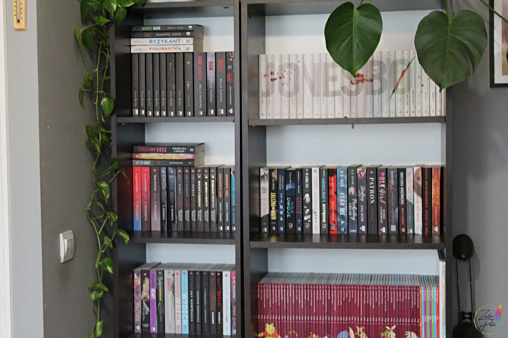 Jak znaleźć miejsce na książki w małym mieszkaniu?