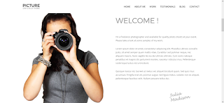 Divi - Wordpress Photography Theme Free Download
