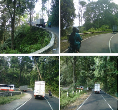 +Kumpulan foto keindahan alam hutan dan pegunungan di hutan atau alas gunung gumitir Banyuwangi Jawa Timur