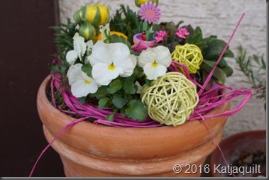 Blumen 2016 - klein