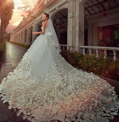 most expensive wedding dresses 