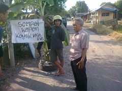 Foto0037
