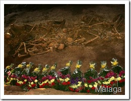 1206472321244fosas_malagadn