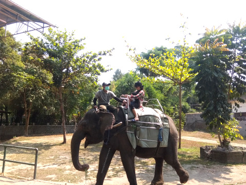 tunggang gajah di gembira loka Yogya