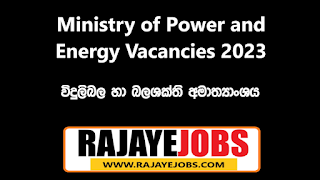 Governmet Job Vacancies 2022